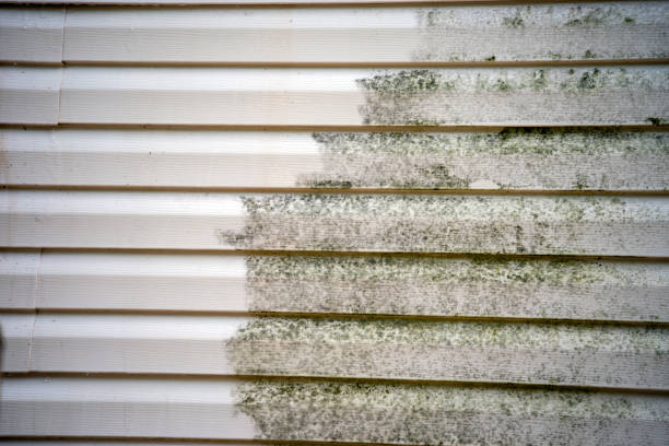 Best Siding Repair  in Belle, MO